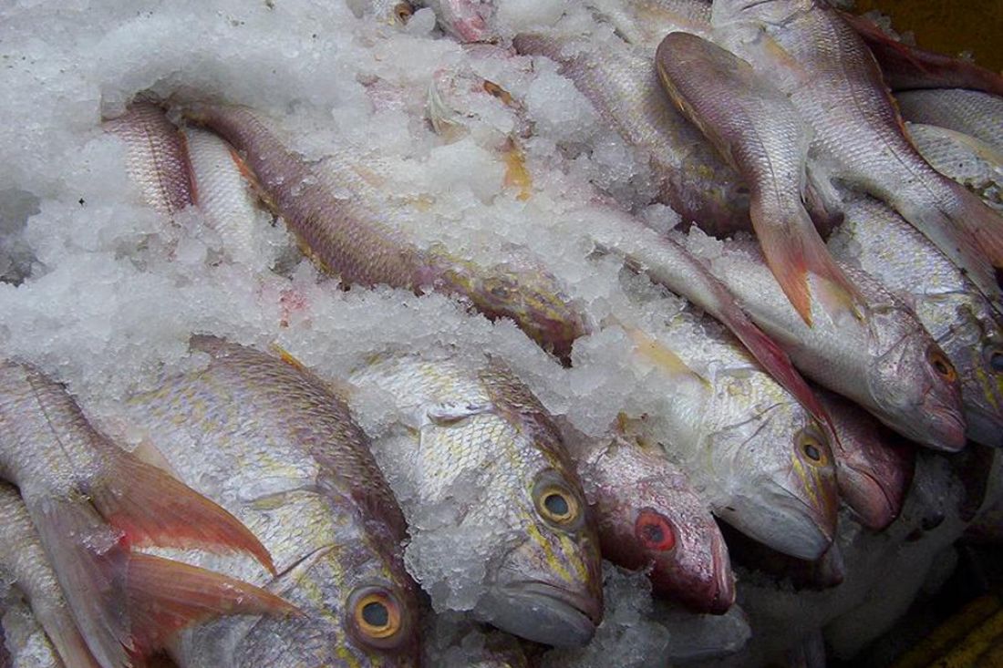 На юго-западе Брянщины продают рыбу с душком