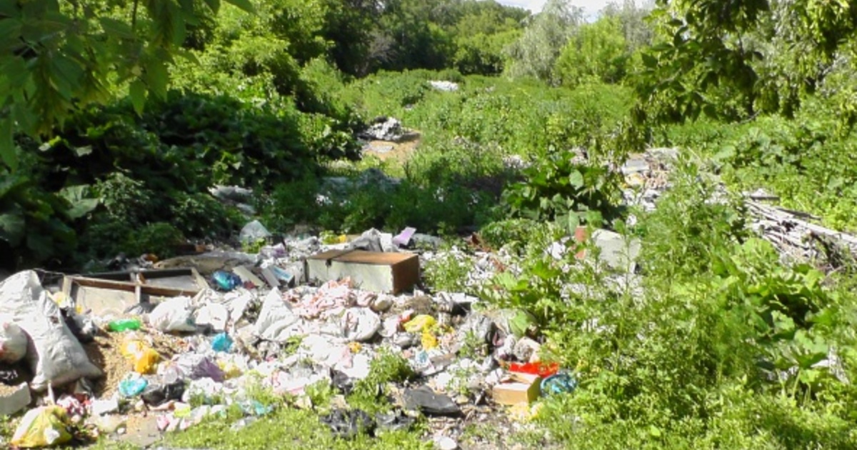 Прокуратура требует убрать свалки в Белых Берегах