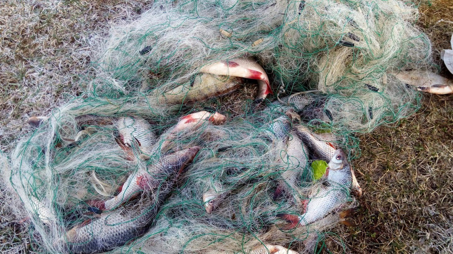 Житель Севского района осужден за ловлю рыбы сетью