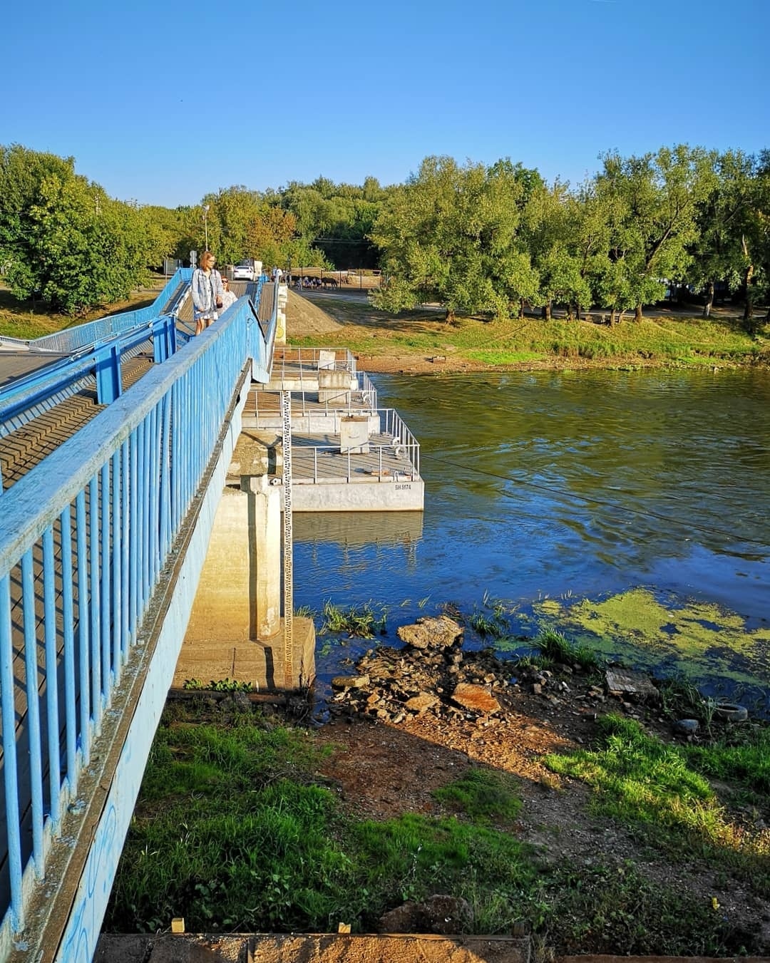 Река в брянске