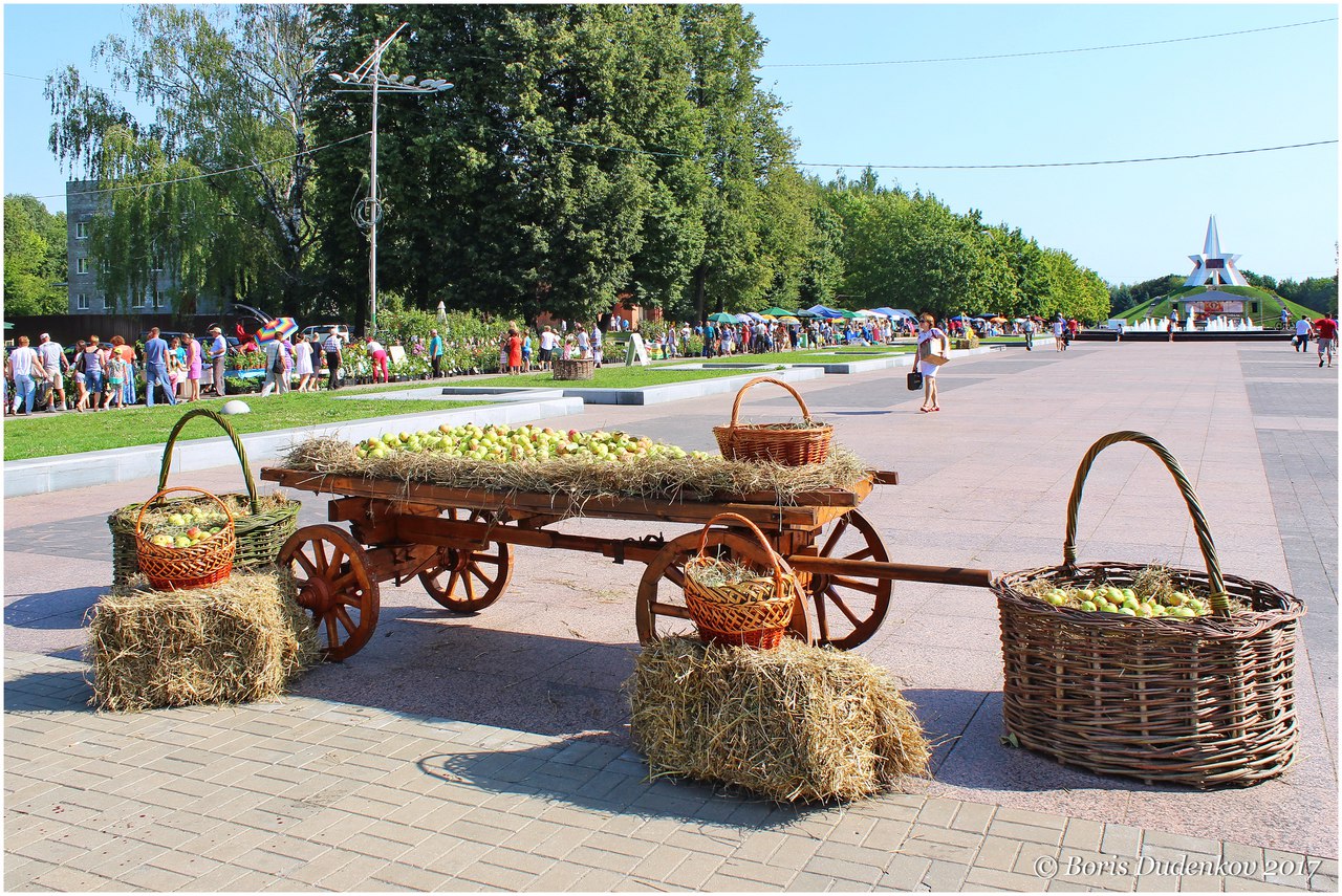 В Брянске ограничат движение из-за фестиваля «Яблочный Спас»