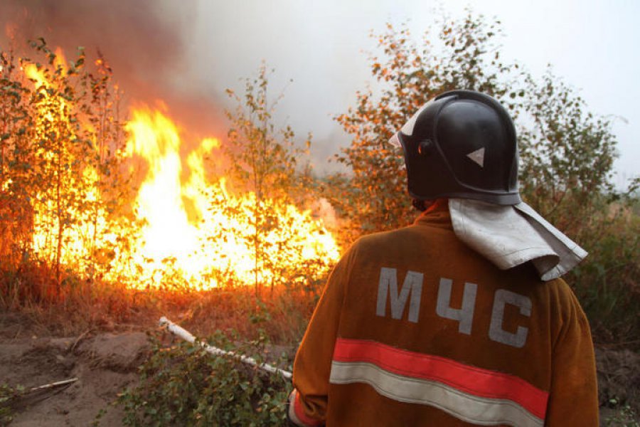 В шести районах Брянщины чрезвычайная пожароопасность