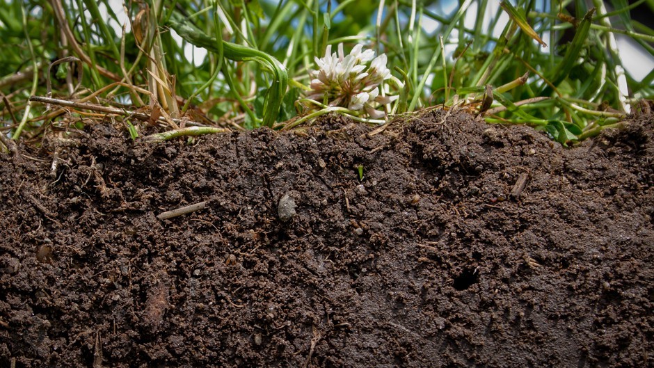 Брянщина вошла в тройку регионов с самой грязной по микробиологическим показателям почвой