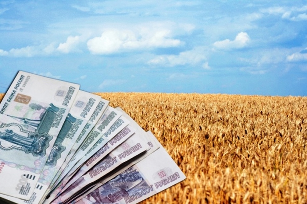 В Брянской области чаще других берут кредиты сельхозпроизводители и обрабатывающие производства