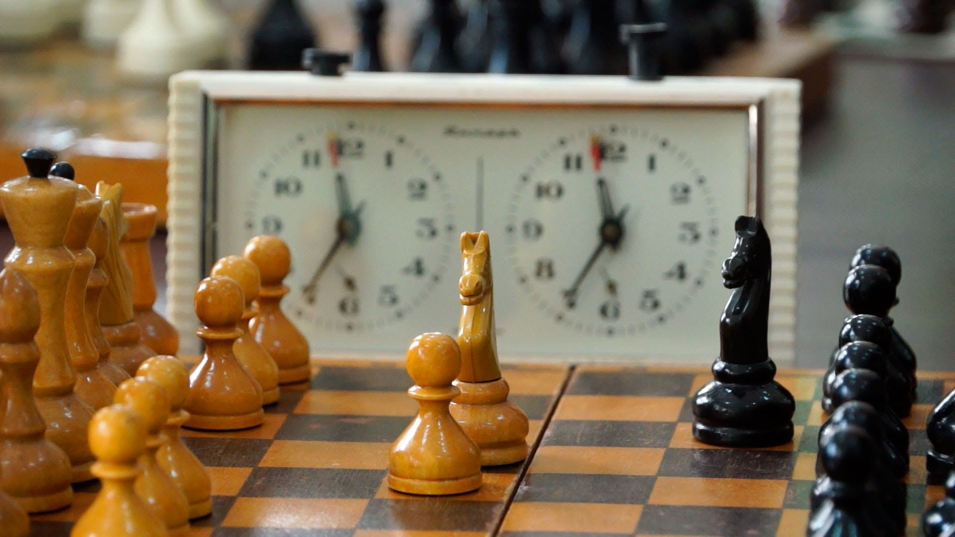 В Брянске начался международный шахматный турнир