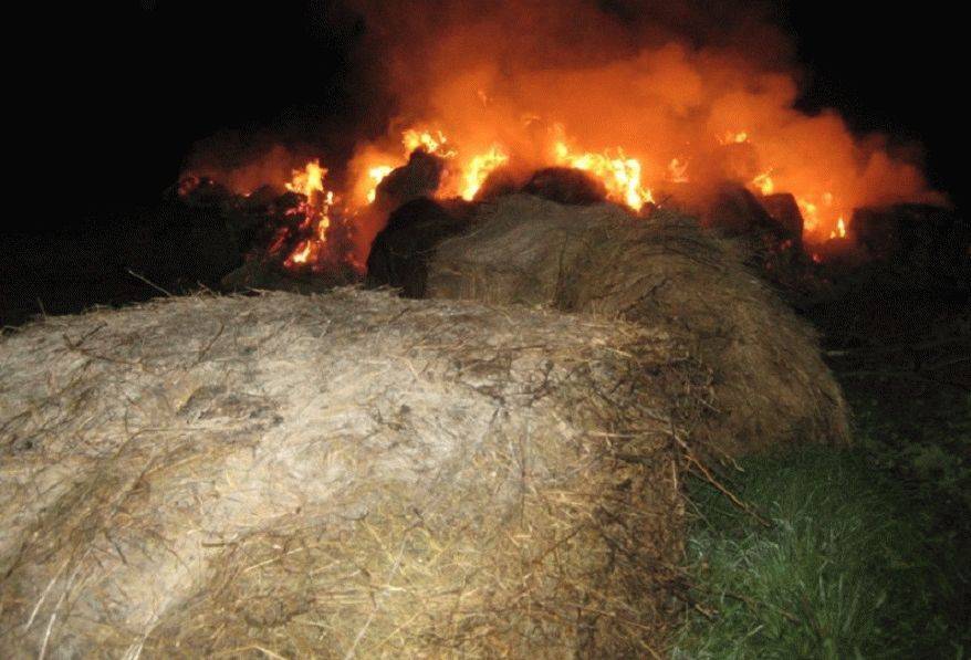В Мглинском районе пожар уничтожил труд аграриев