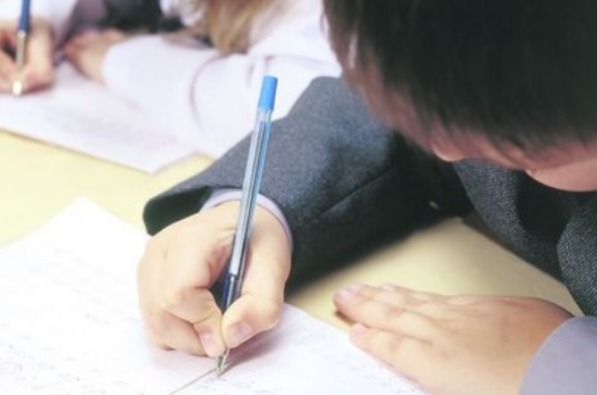 В Брянской области 19 школ подозреваются в необъективности оценок