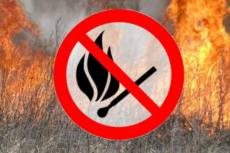 В Брянской области прогнозируют чрезвычайную пожароопасность