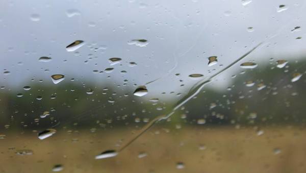 Завтра днем возможен дождь в Брянской области