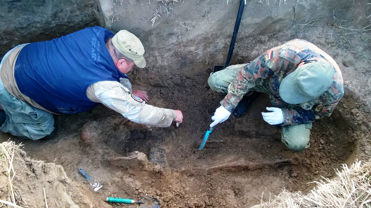 В Дубровском районе найдены останки 50 красноармейцев