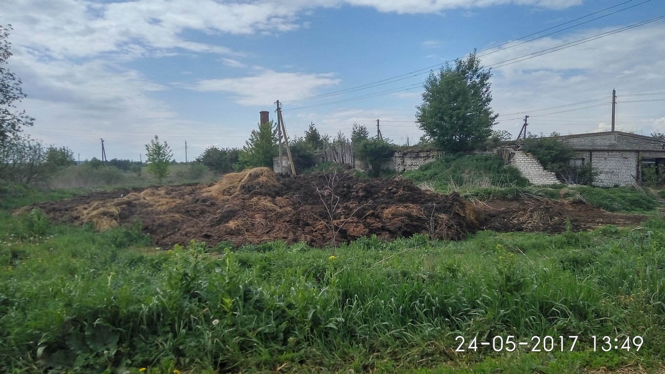 Утопающие в навозе фермы Жирятинского района поставлены на контроль