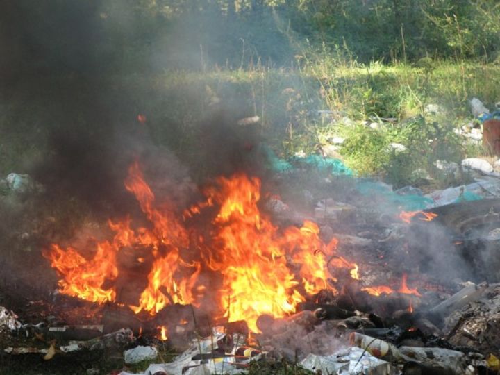 В Стародубе директора коммунального предприятия оштрафовали за пожар на свалке