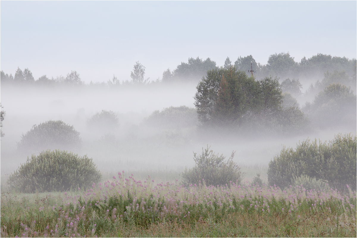 Утром возможен туман в Брянской области