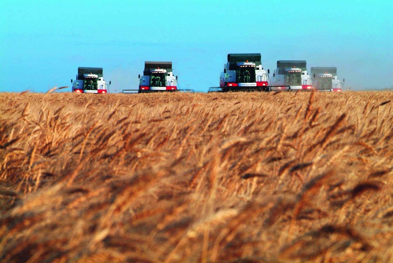 Севские аграрии показывают рекордные урожаи зерновых