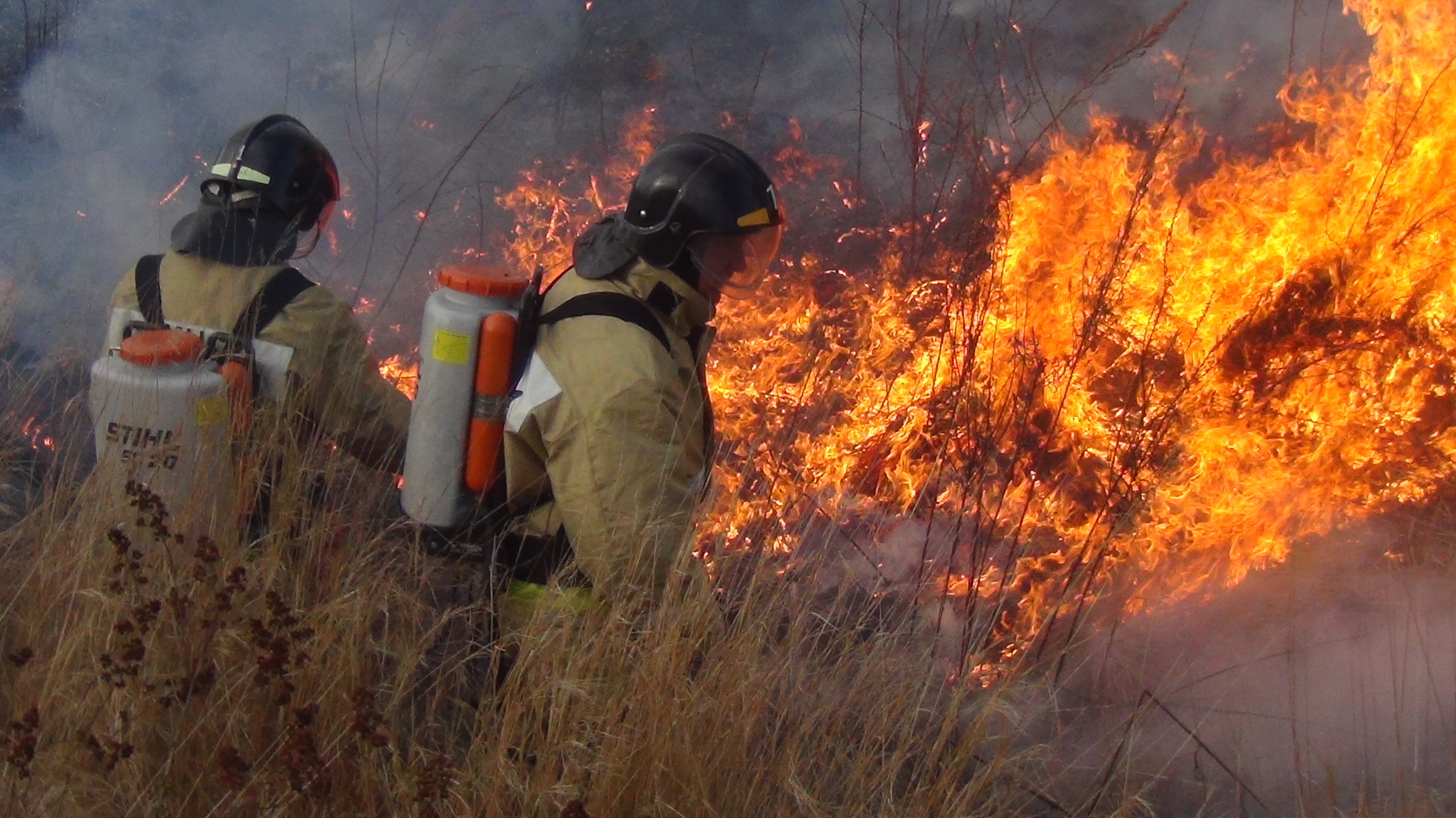 На Брянщине вчера потушили больше десятка природных пожаров