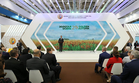 Брянщина демонстрирует успехи на всероссийской агропромышленной выставке