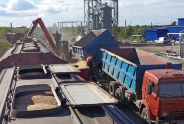Погрузка зерна в Брянском регионе МЖД выросла вдвое