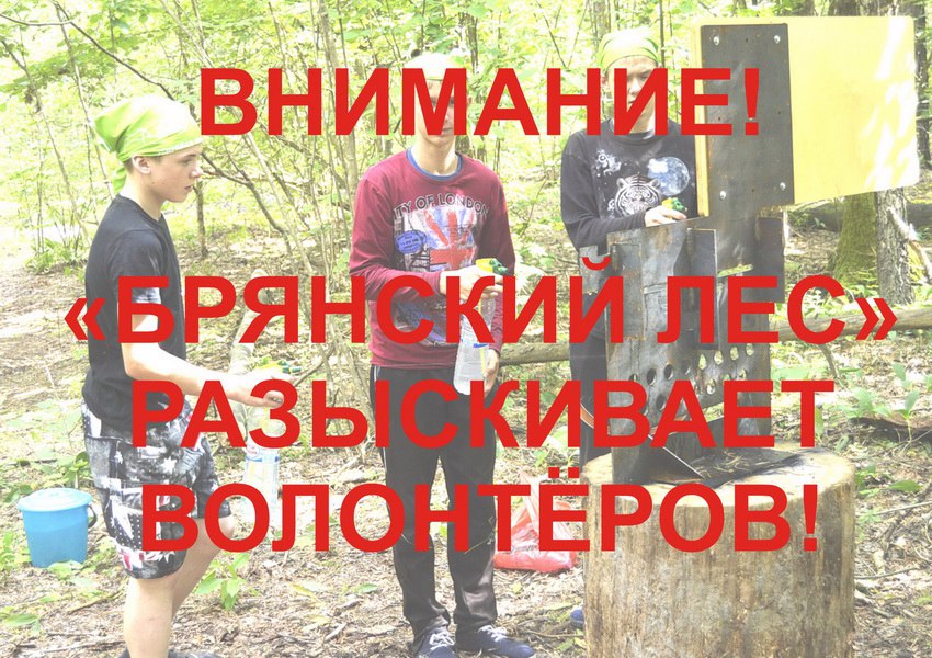 «Брянский лес» собирает волонтёров