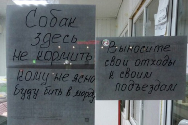 В Брянске на мясном павильоне появилось объявление с угрозами за кормление бродячих собак