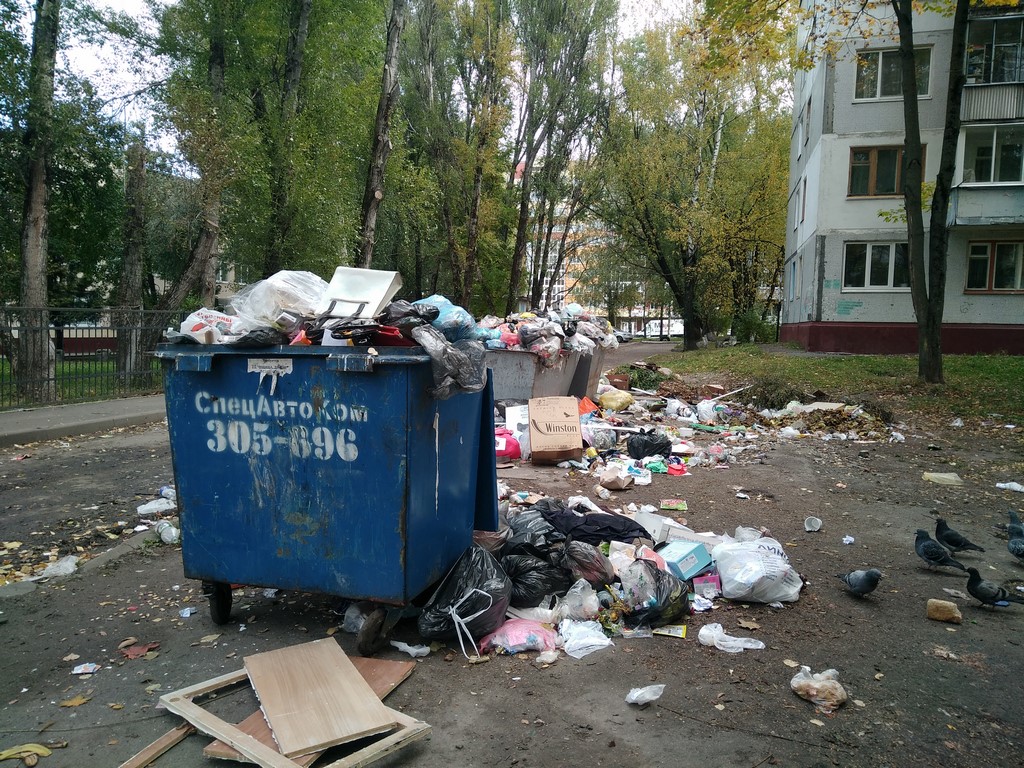 МОО «Зеленый Фронт»: Брянск попал под мусорное иго