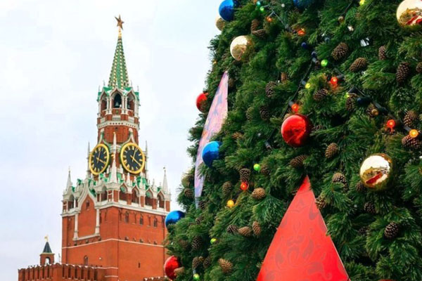 32 брянских школьника поедут на Кремлевскую елку