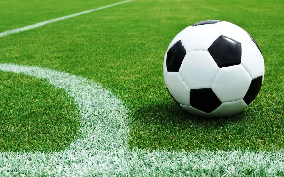 Футбол и легкая атлетика самые популярные виды спорта на Брянщине