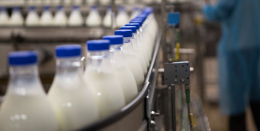 Два брянских молокозавода уличили в производстве фальсификата