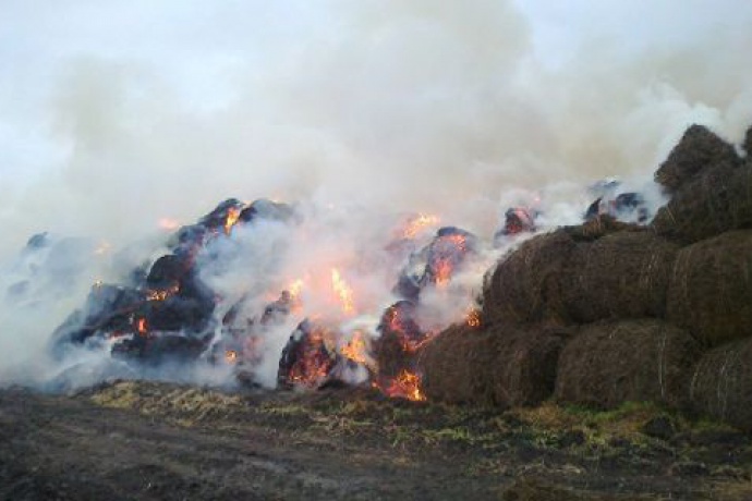 20-летний житель Суземского района получил судимость за «игру» с огнем