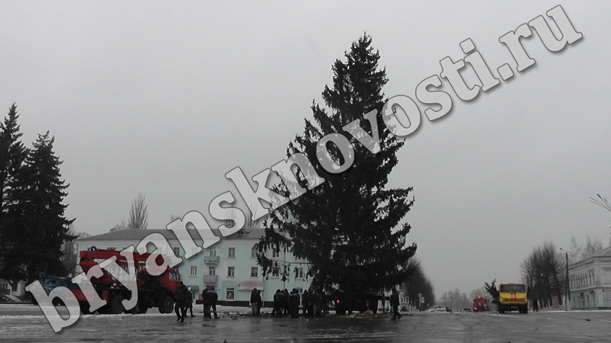 На центральной площади Новозыбкова установили главный символ Нового года