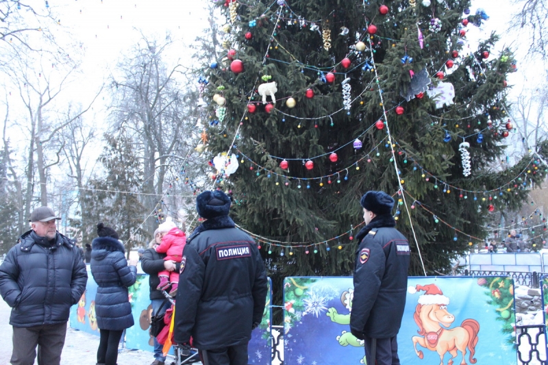 На Брянщине в новогодние праздники охранять порядок будут тысячи полицейских