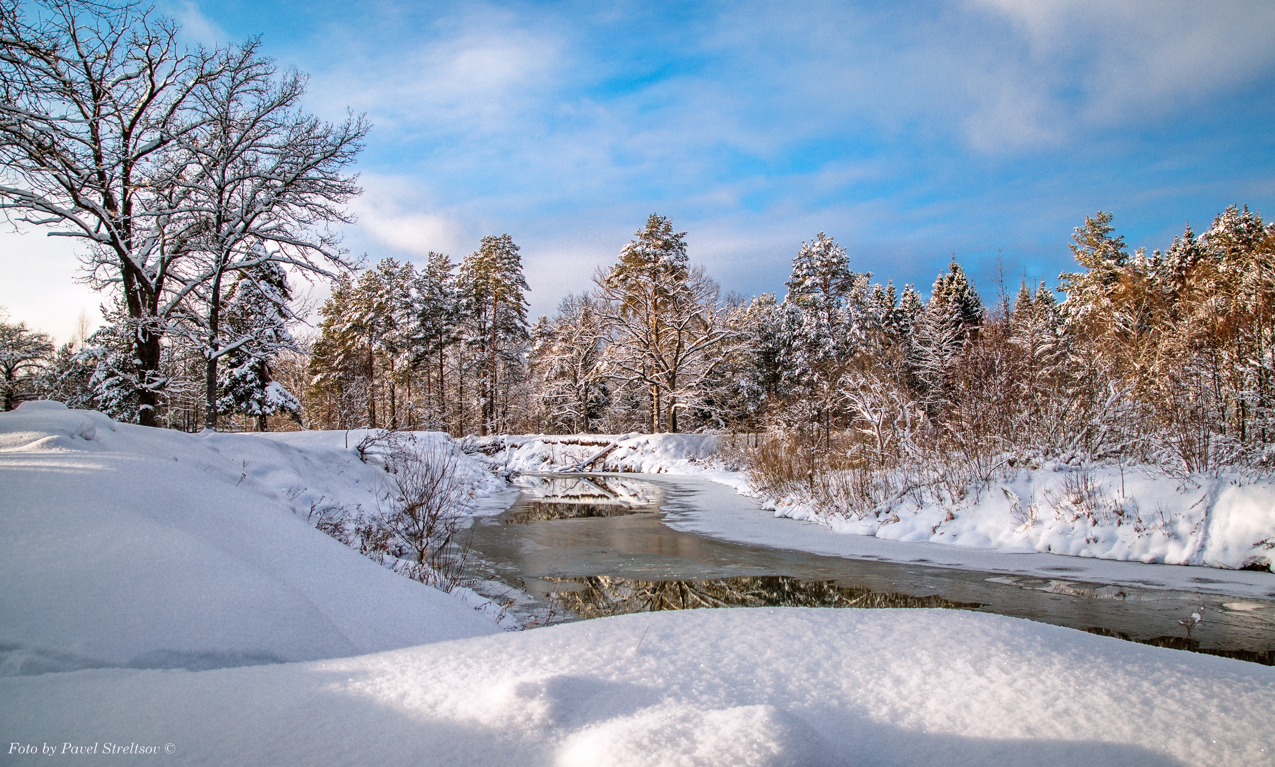 Красоты зимнего брянского леса запечатлел фотохудожник