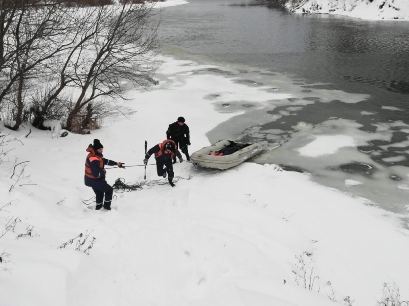 В Брянском районе спасли примерзшую ко льду собаку
