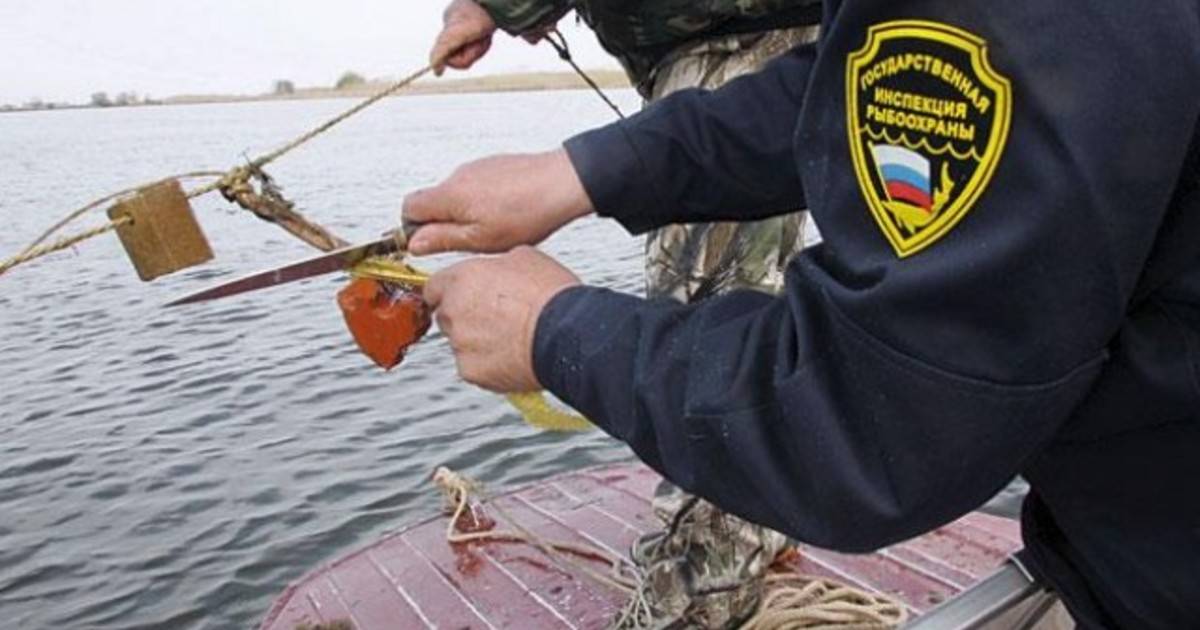 Незаконная рыбалка обернулась для жителя Брянска судимостью