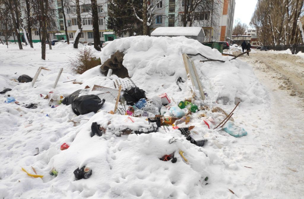 В Брянске экоактивисты зафиксировали десятки площадок, переполненных мусором