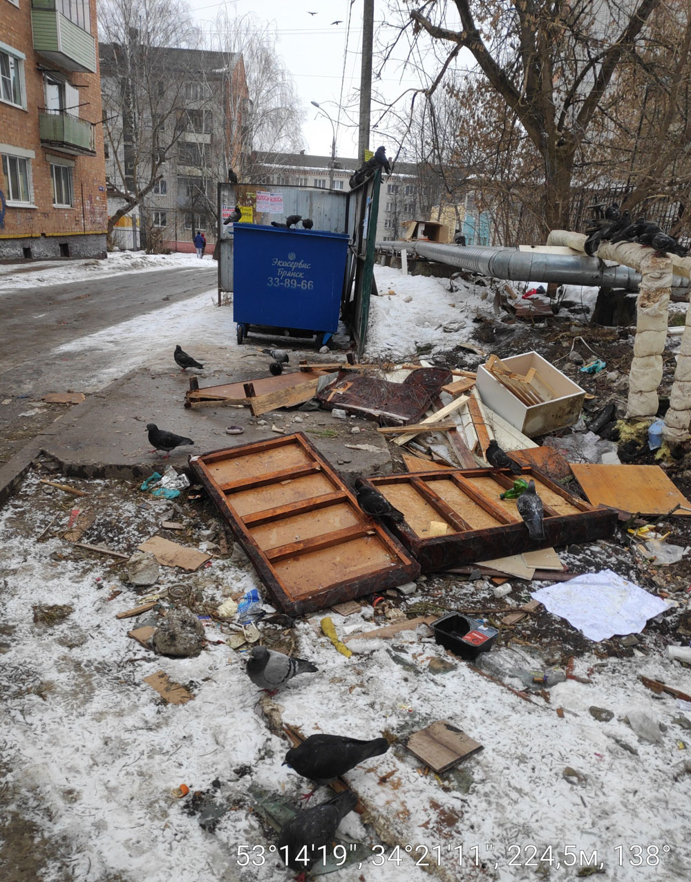 В Брянске площадки для сбора мусора утонули в отходах, не все гладко и в  райцентрах • БрянскНОВОСТИ.RU