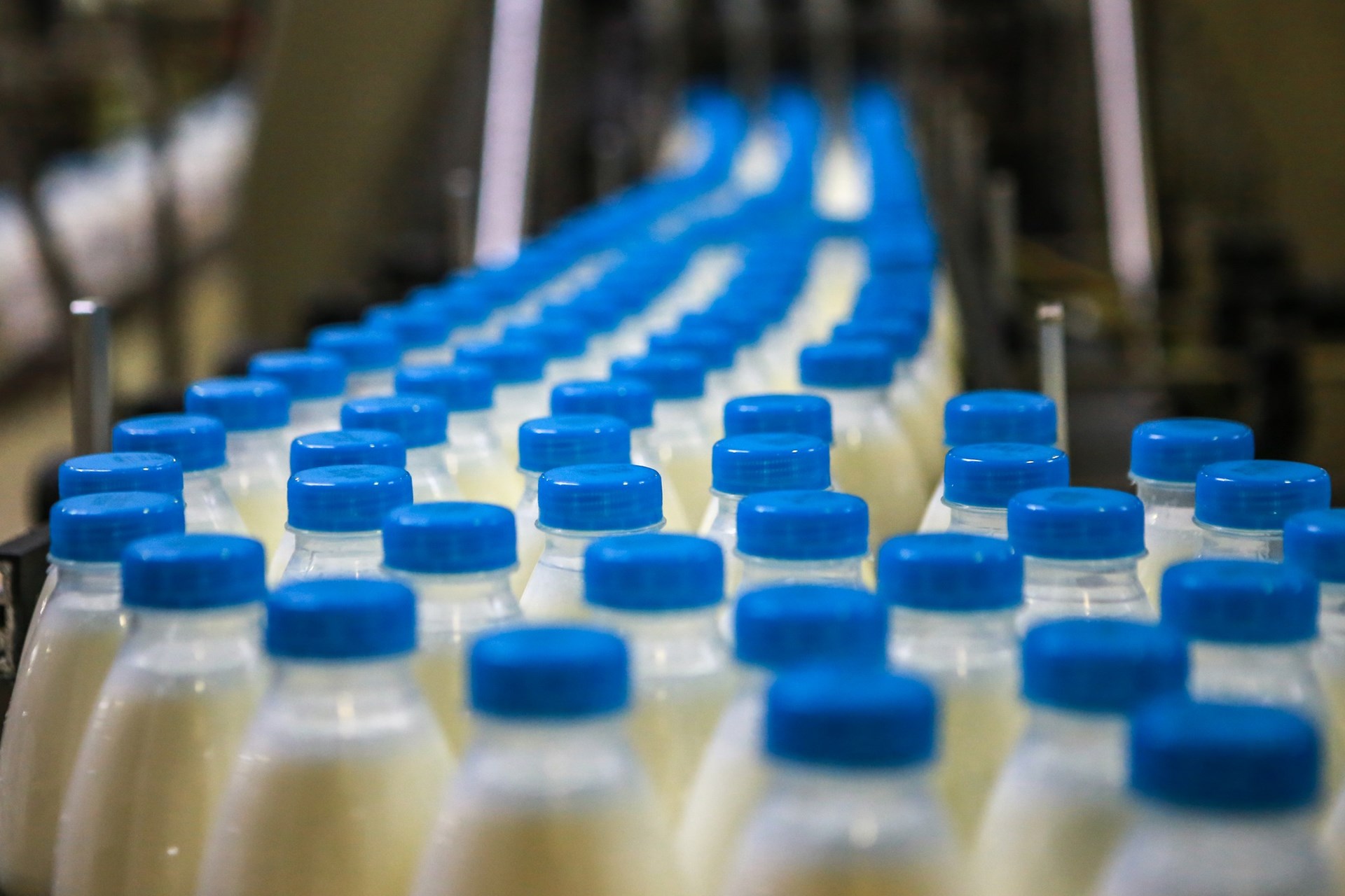 Два брянских производителя молочной продукции значатся в списке предприятий-фантомов