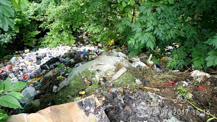 В Брянске не могут ликвидировать огромную свалку мусора