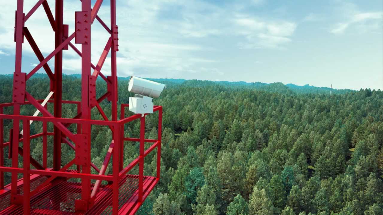 В брянских лесах установят до полусотни камер видеонаблюдения