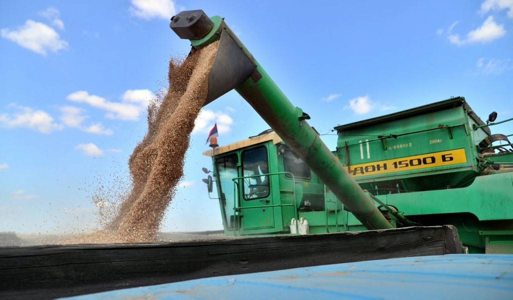 В Карачевском районе сельхозпроизводители собрали более 80 тысяч тонн зерна
