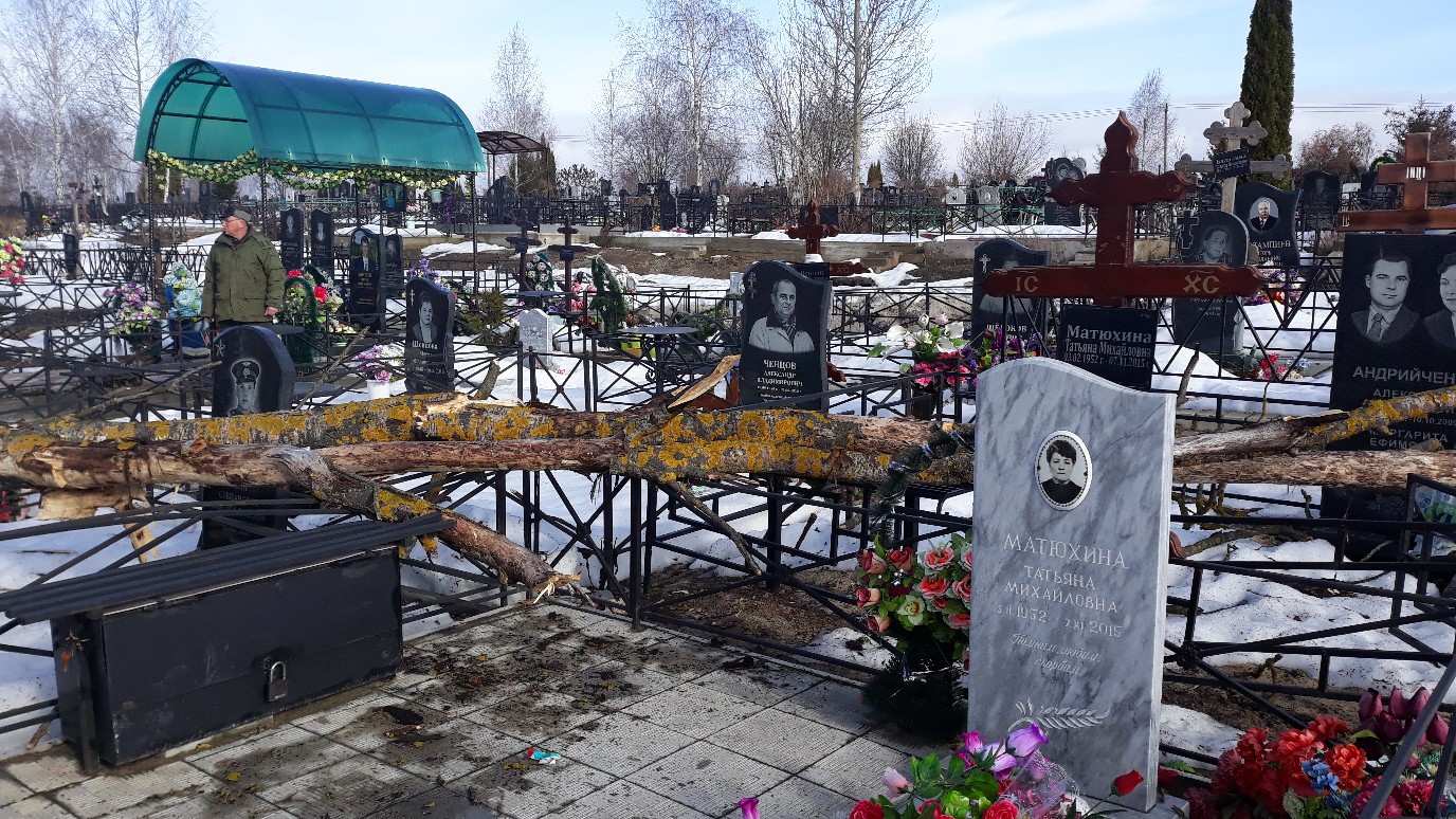 Снежетьское кладбище Брянск