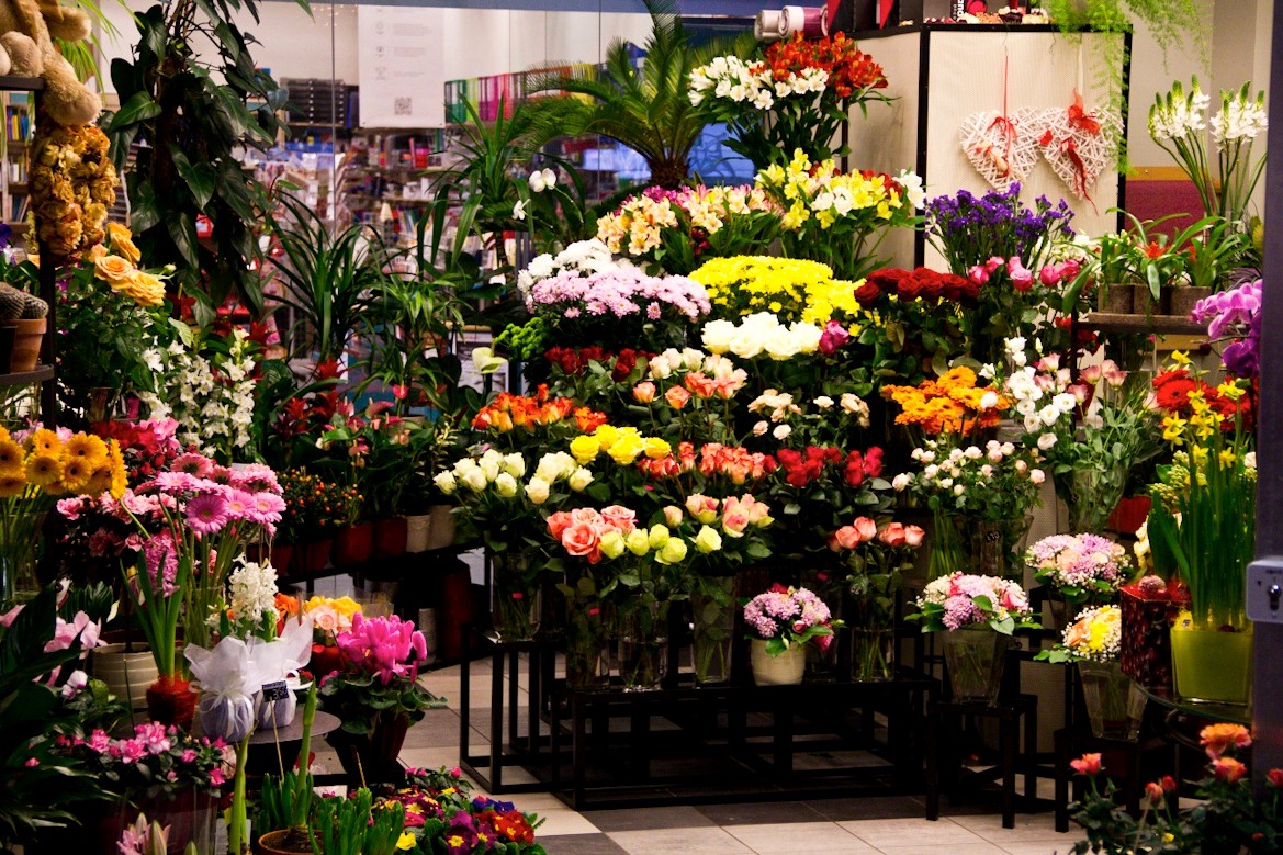 Цветов цветов еще цветов. Витрина цветочного магазина. Интерьер цветочного магазина. Цветы на прилавке. Цветочный прилавок.