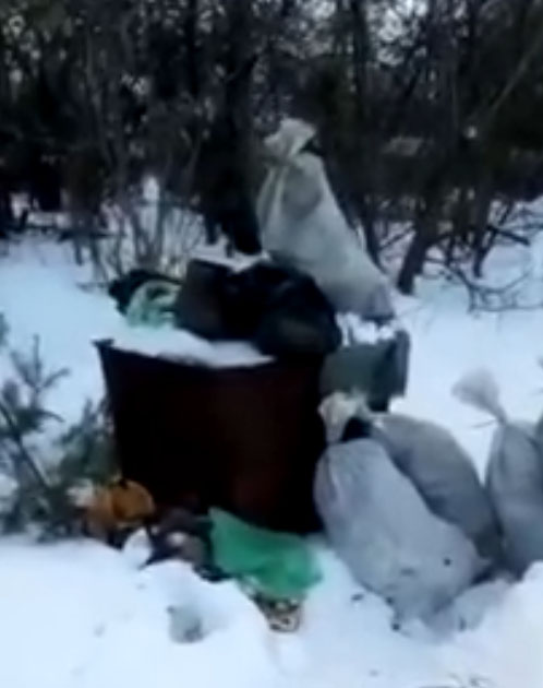 В Гордеевском районе коммунальщики забыли про мусор