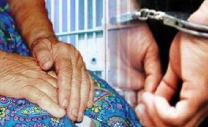 Многодетная мать из Брянска в Сыктывкаре украла у пенсионерки 150 долларов