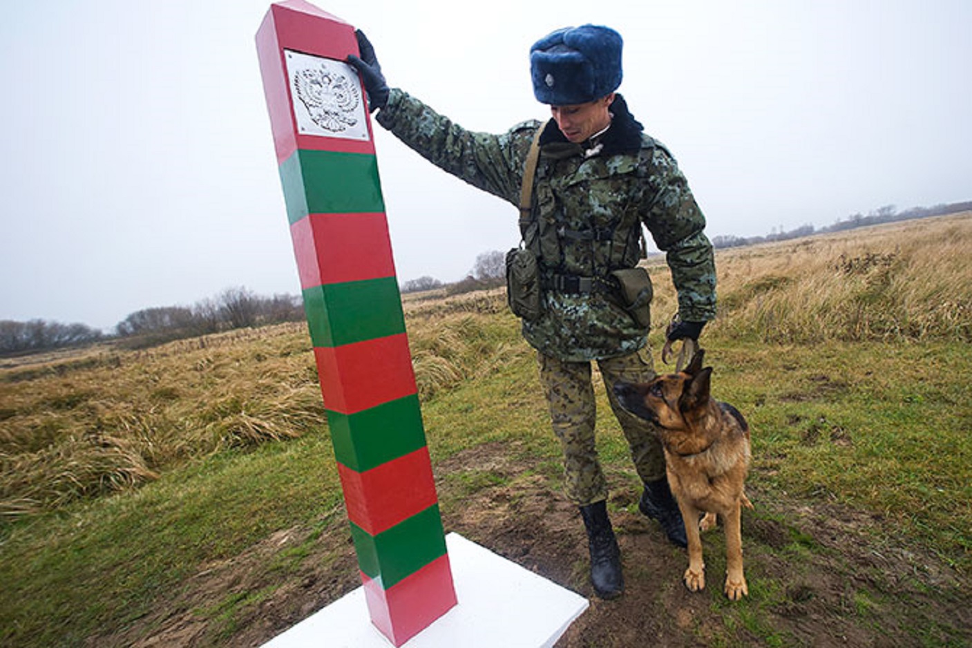 Пограничники Севского района задержали иностранку, пытавшуюся незаконно пересечь границу