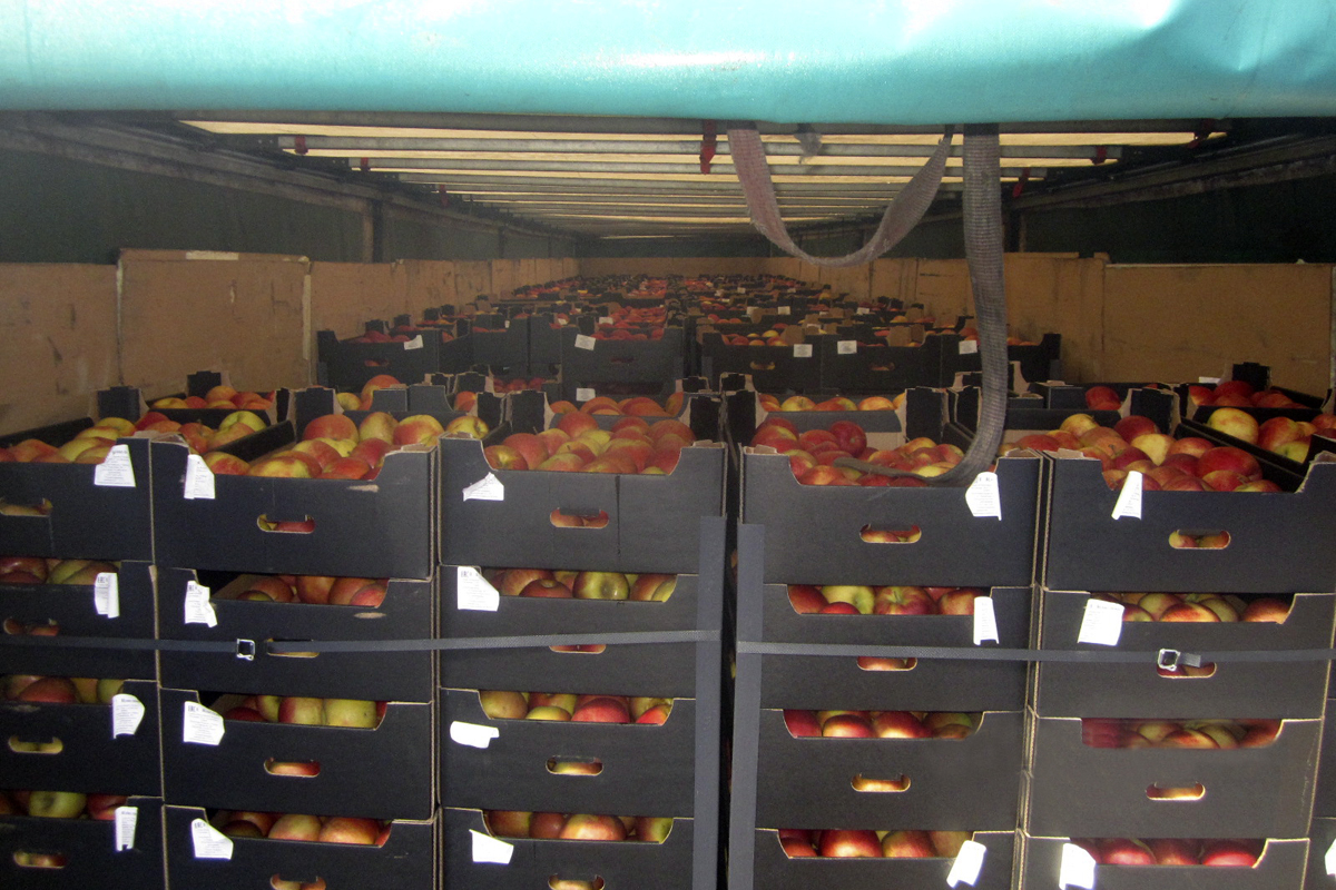В Выгоничах остановили грузовик с польскими яблоками