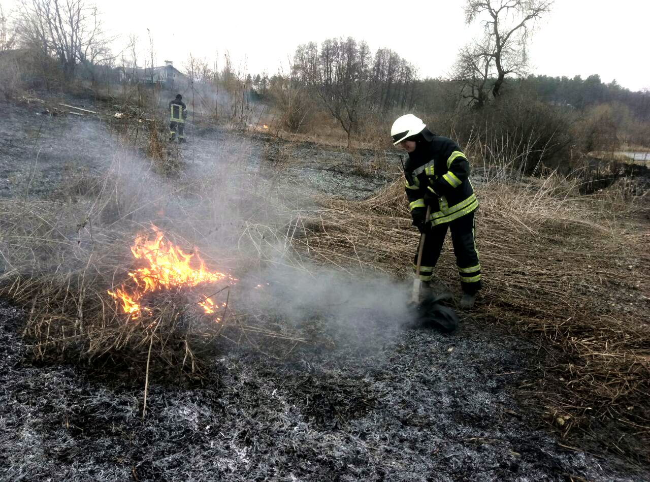 На Брянщине пожарные тушили сухостой 76 раз