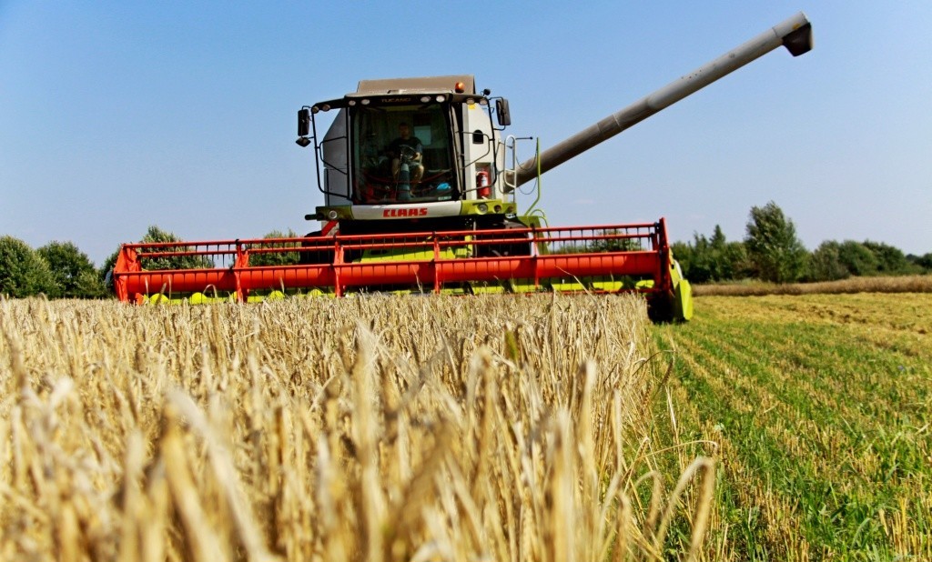 Сельхозпроизводство в Брянской области удерживает темпы