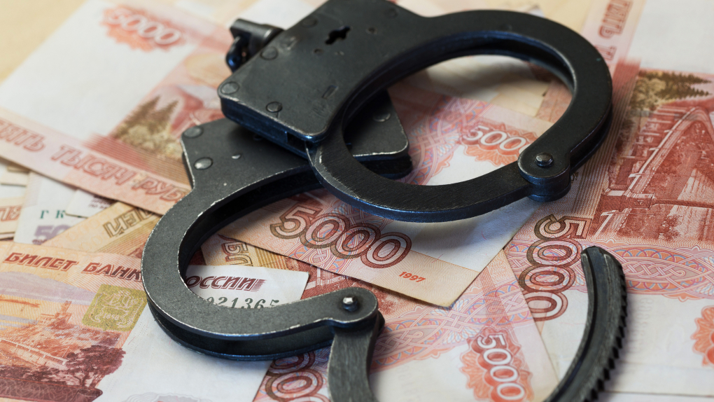 В Брянске перед судом предстанет семейная пара, похитившая 29 миллионов рублей