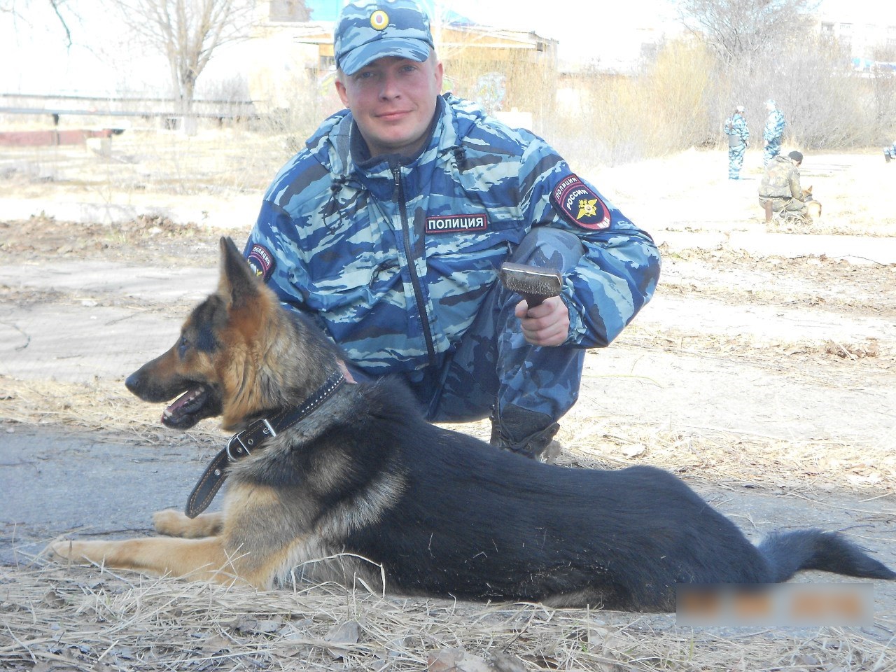 В Новозыбкове собака помогла найти убийцу