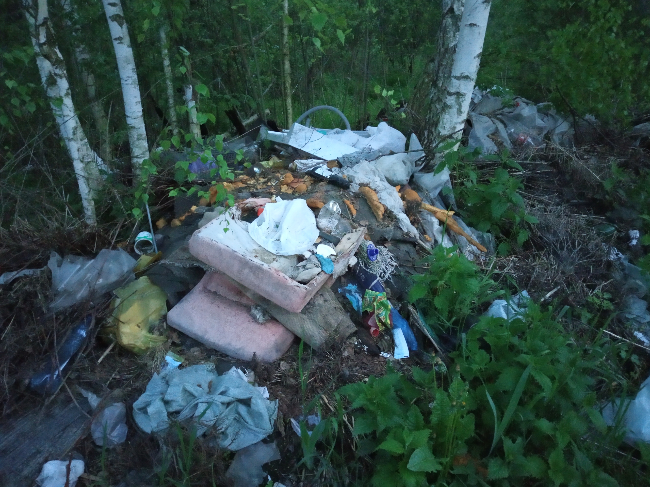 В Брянском районе дачники захламили лесополосу